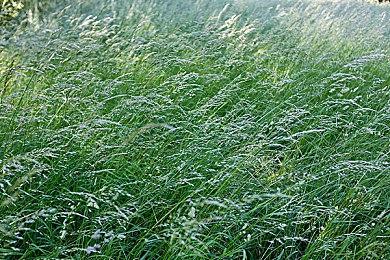 《上行战场》发售3天创收500万美元 打破发行商记录